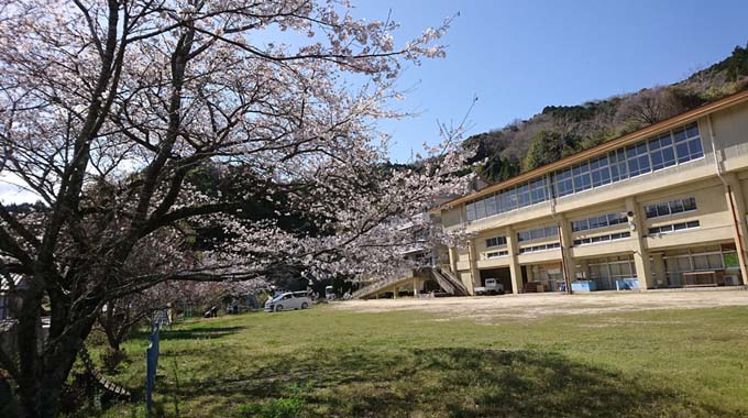 旧長谷小学校の桜が綺麗です