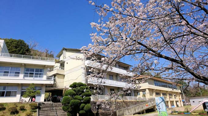 旧長谷小学校の桜が綺麗です