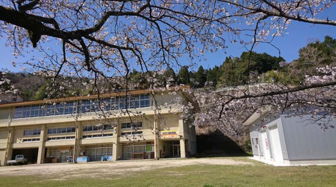 旧長谷小学校の桜が綺麗です