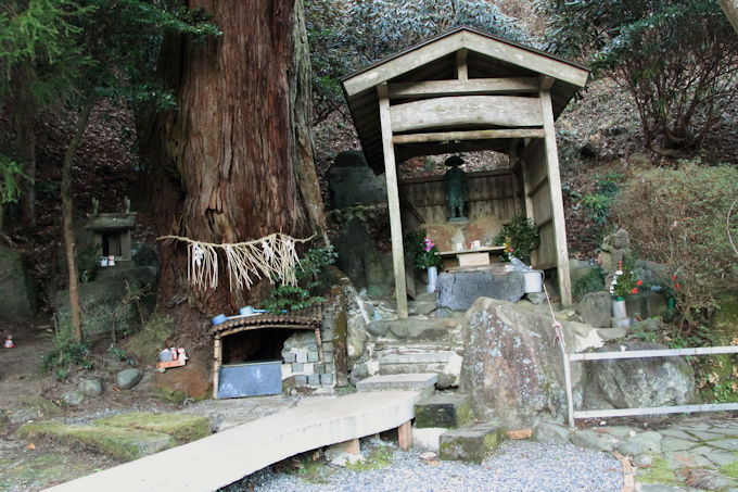 令和8年元旦初日の出